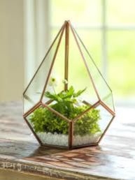 Rose gold glass terrarium