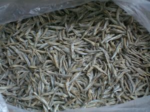 Dry Salted Anchovies