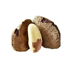 Brazil Nuts