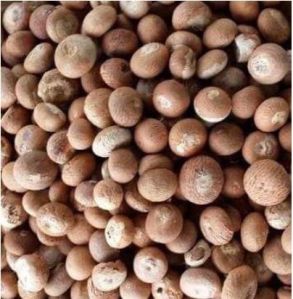 Dry Areca Nuts