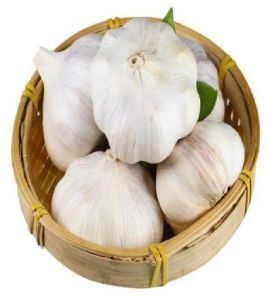 Fresh Garlic