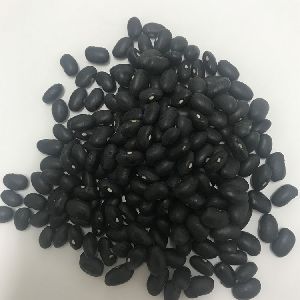 Kidney Black beans