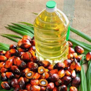 Rbd Palm Oil