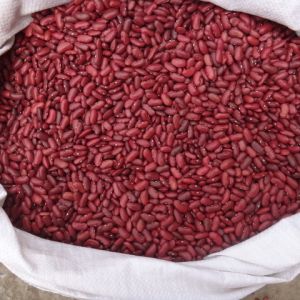 Top Quality red kidney beans