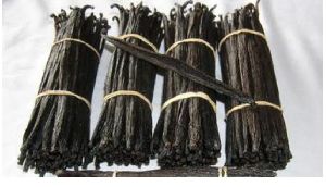 Vanilla Beans