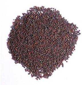 Mustard Seeds