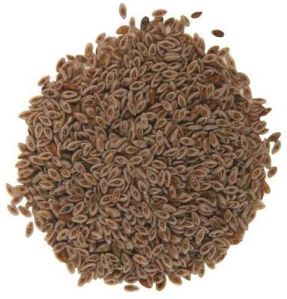 Isabgol Psyllium Husk Seed