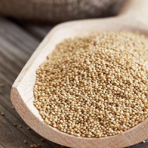 amaranth grain