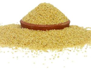 foxtail millet