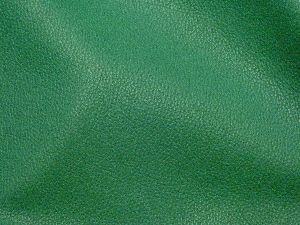 Green Finished Leather