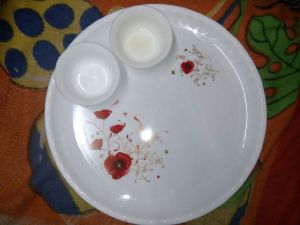 Plastic Dinner Dishes