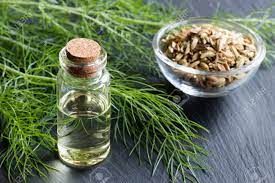 Fennel Oil