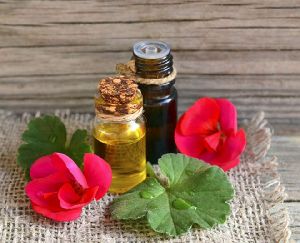 Geranium Oil