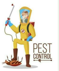 Pest Control Services