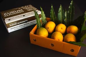 Alphonso Mangoes