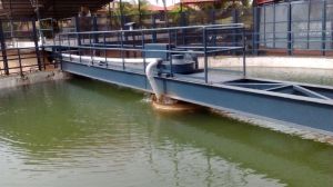 Clarifier Rake Mechanism