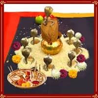 KAAL SARP DOSH POOJA