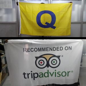 logo flags