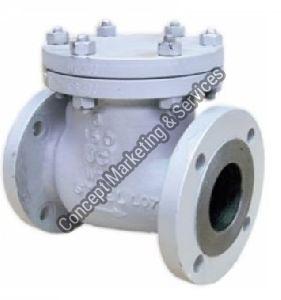 VR600BC Bolted Cover Check Valve