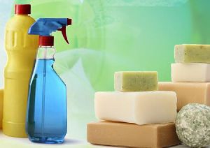 soaps and detergents making Project Consultancy Services