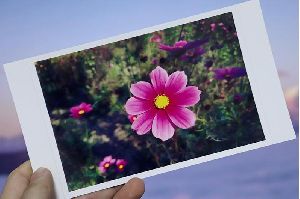 RC-100MD Photo Paper Plus Glossy White Photographic Paper Photo Printer Paper