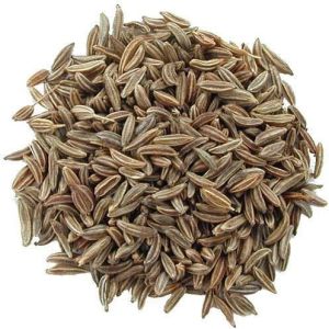 Cumin Seeds