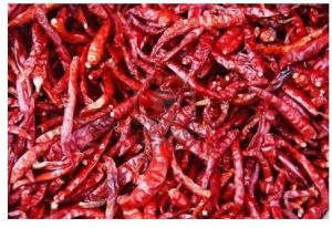 Holy Natural Teja Dry Red Chilli Powder