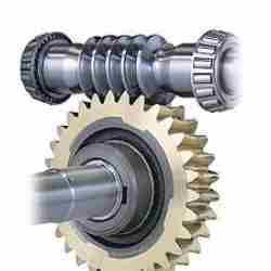 Worm Gear Assembly