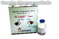 G Ceph - Tazo Injection