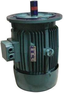 Vertical AC Motor