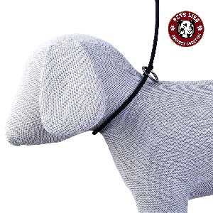 Dog Show Leash