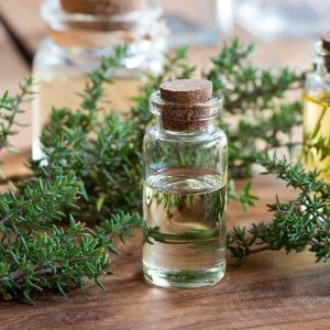 Thyme Essential Oil