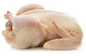 Broiler Frozen Chicken