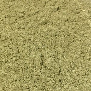 Mullein Leaf Extract