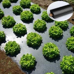 Plastic Mulch Film