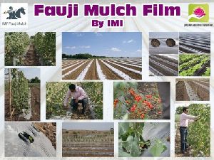 Plastic Mulch Film