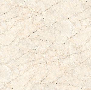 Glossy Series Digital Glazed Vitrified Tiles