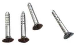 2 Inch Stainless Steel Screw