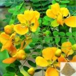 Avarai Panchangam Powder