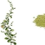 Sirukan Peelai Powder
