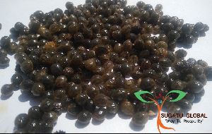 Carica Papaya Seeds