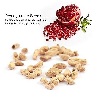 Pomegranate Seeds