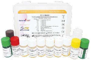 T3 Elisa Test Kit