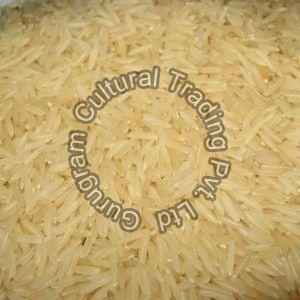 PR14 Golden Rice