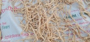 White Shatavari Root