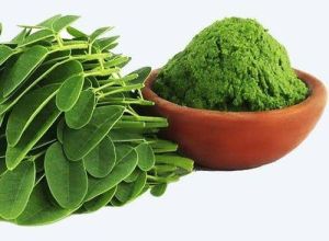 Moringa Leaves Powder