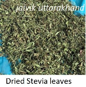 Organic Stevia Dry Leaves