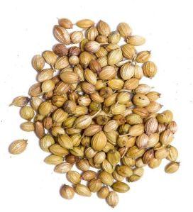 Coriander Seeds
