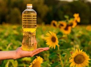 Sunflower Oil