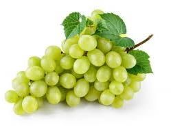 Fresh Grapes